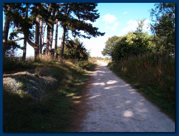 600x449 pixels (132K)